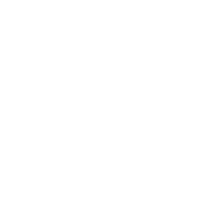 HaNoi Chan